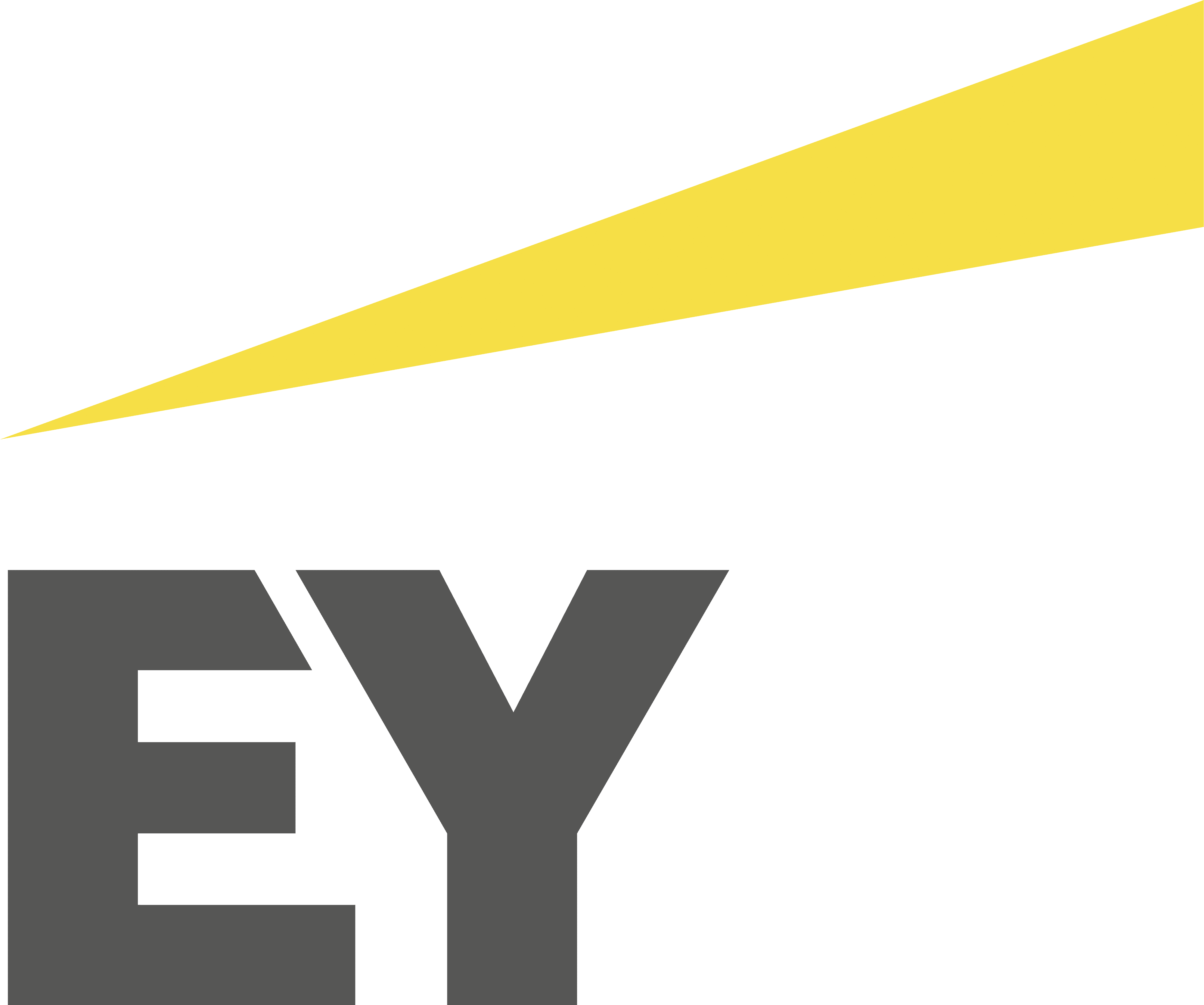 E&Y Official Partner